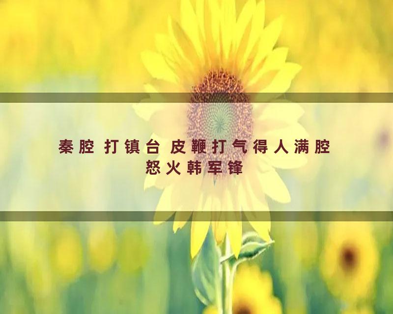 秦腔 打镇台 皮鞭打气得人满腔怒火韩军锋