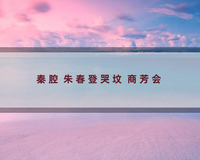 秦腔 朱春登哭坟 商芳会