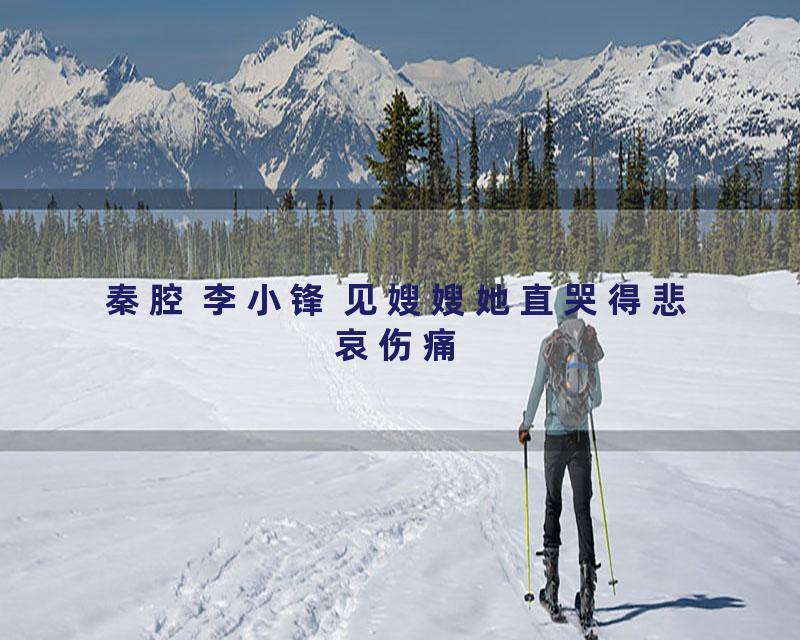 秦腔 李小锋 见嫂嫂她直哭得悲哀伤痛
