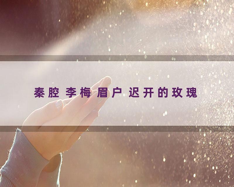 秦腔 李梅 眉户 迟开的玫瑰
