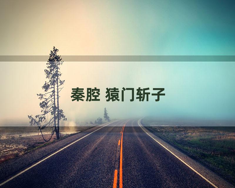 秦腔 猿门斩子
