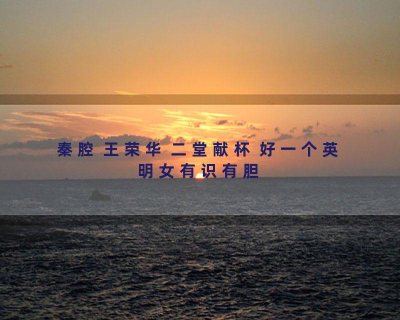 秦腔 王荣华 二堂献杯 好一个英明女有识有胆
