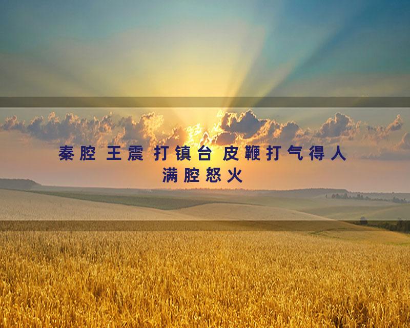 秦腔 王震 打镇台 皮鞭打气得人满腔怒火