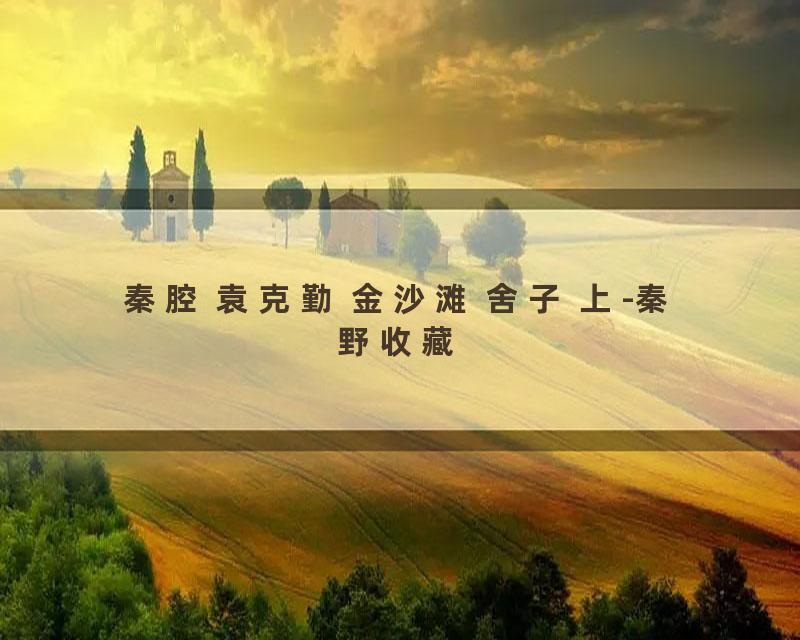 秦腔 袁克勤 金沙滩 舍子 上-秦野收藏