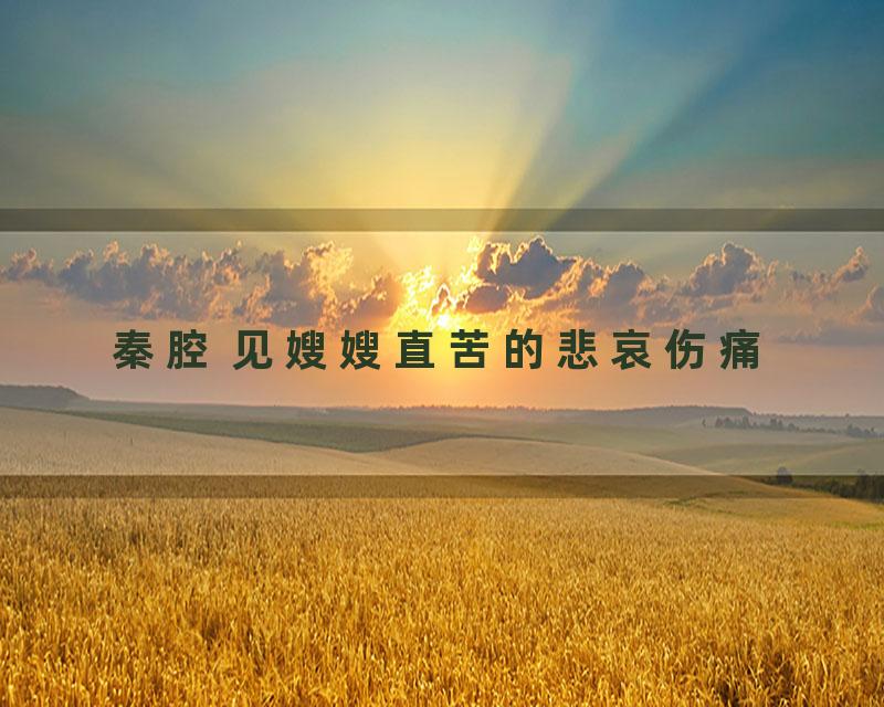 秦腔 见嫂嫂直苦的悲哀伤痛
