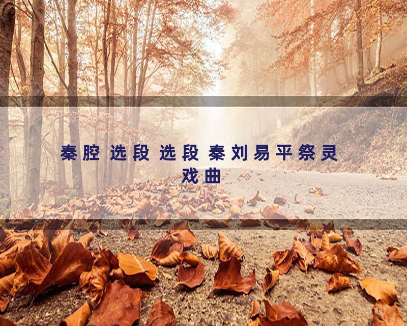 秦腔 选段 选段 秦刘易平祭灵 戏曲