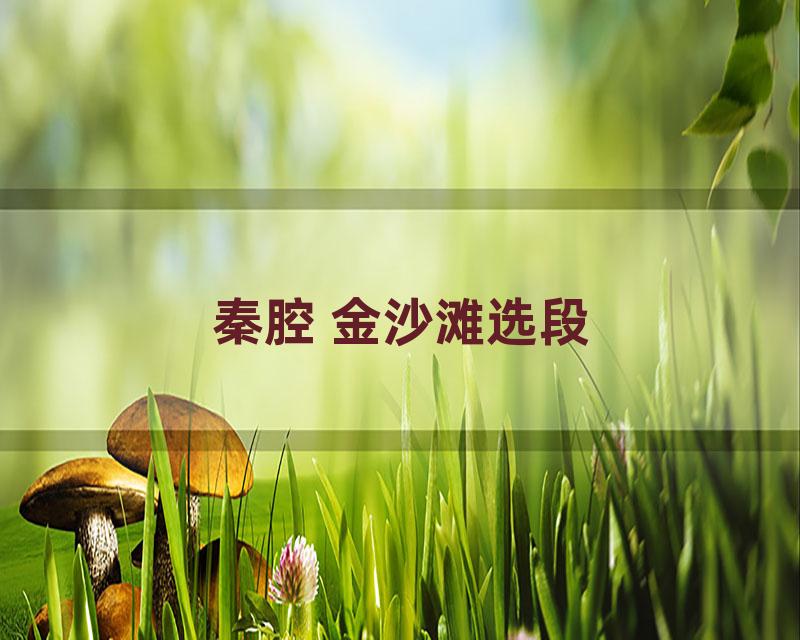 秦腔 金沙滩选段