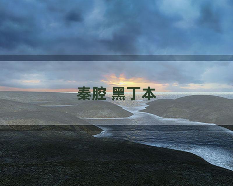 秦腔 黑丁本