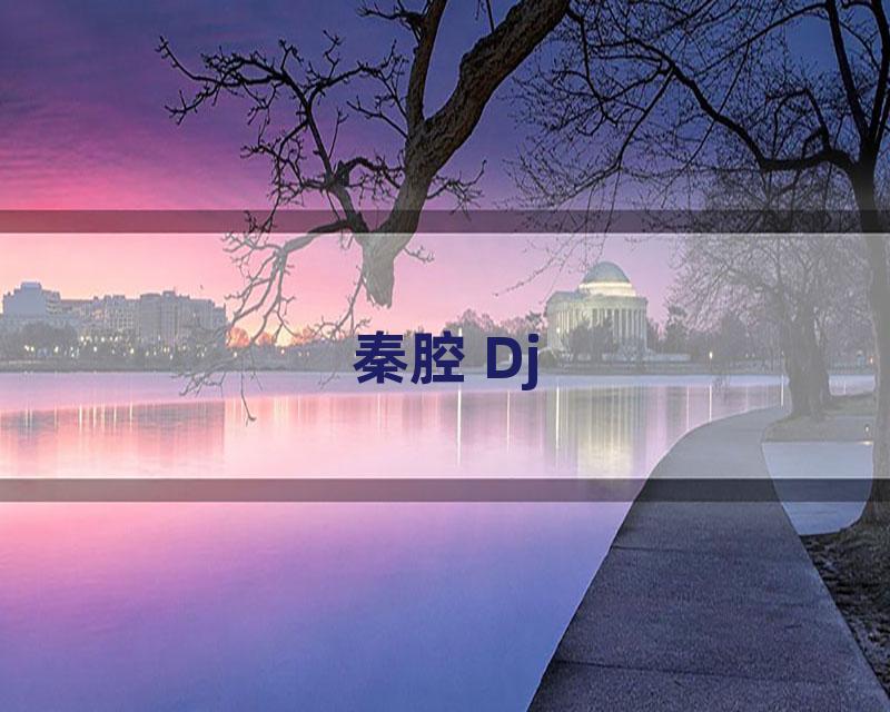 秦腔 Dj