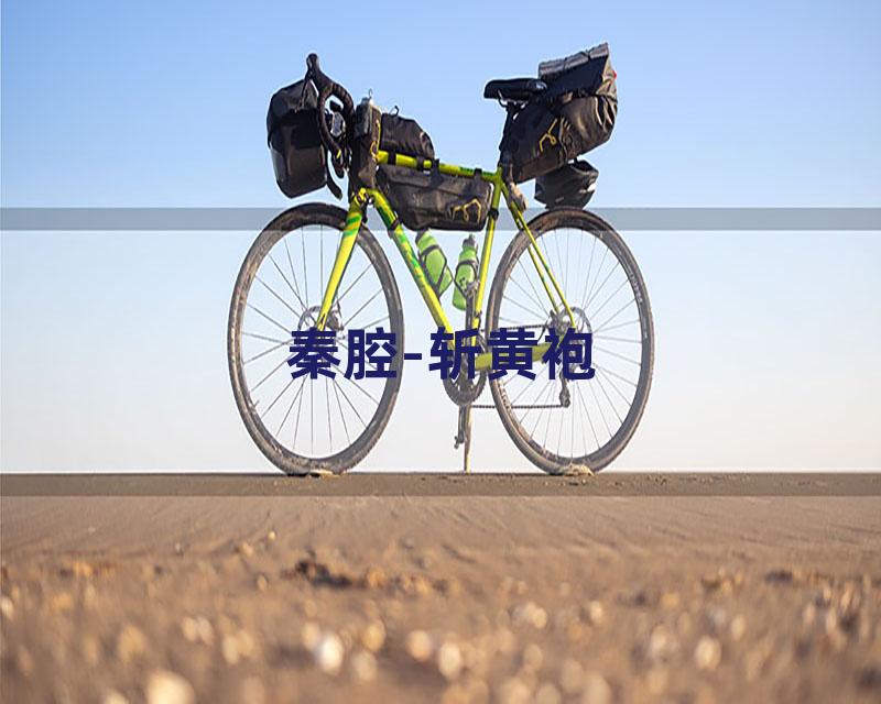 秦腔-斩黄袍