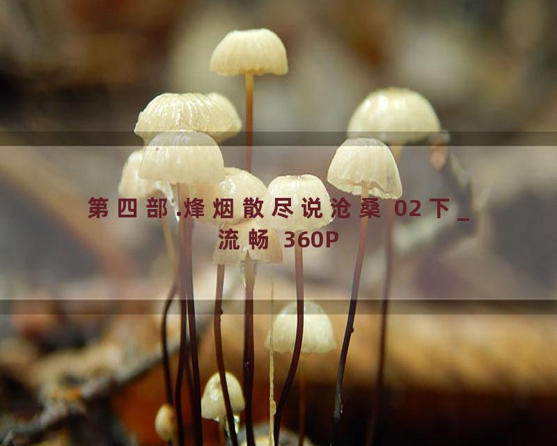 第四部.烽烟散尽说沧桑 02 下_流畅 360P