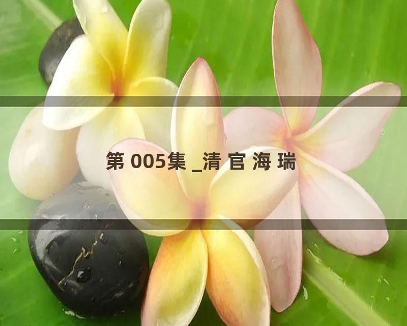 第005集_清官海瑞