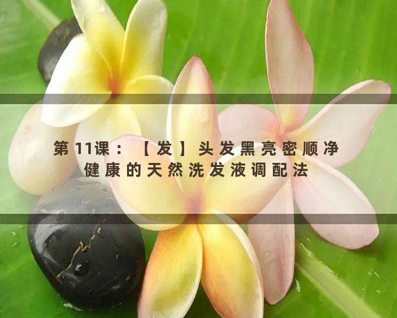 第11课：【发】头发黑亮密顺净健康的天然洗发液调配法
