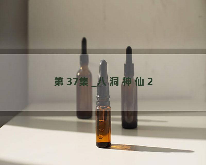 第37集_八洞神仙2