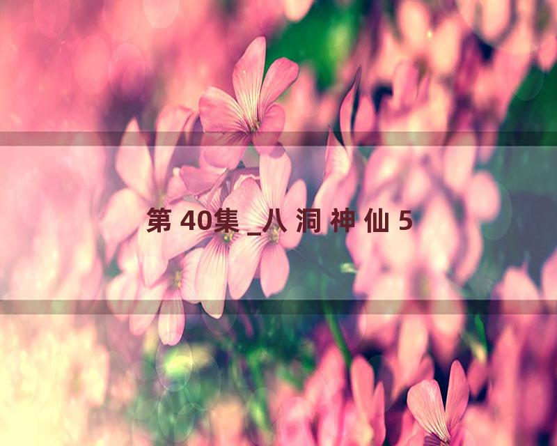 第40集_八洞神仙5