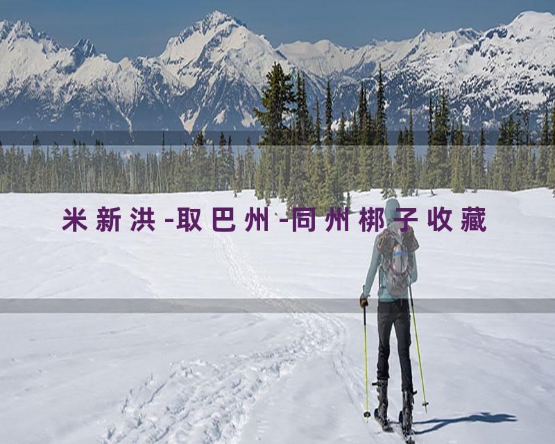 米新洪-取巴州-同州梆子收藏