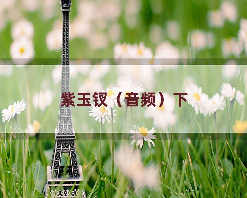 紫玉钗（音频）下