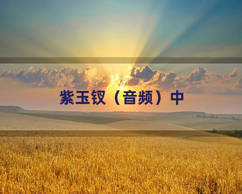紫玉钗（音频）中