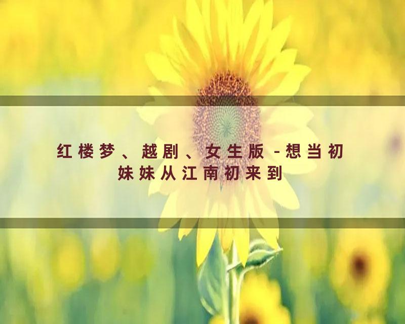 红楼梦、越剧、女生版 - 想当初妹妹从江南初来到