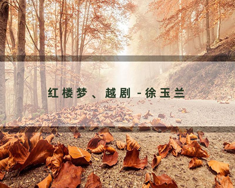 红楼梦、越剧 - 徐玉兰