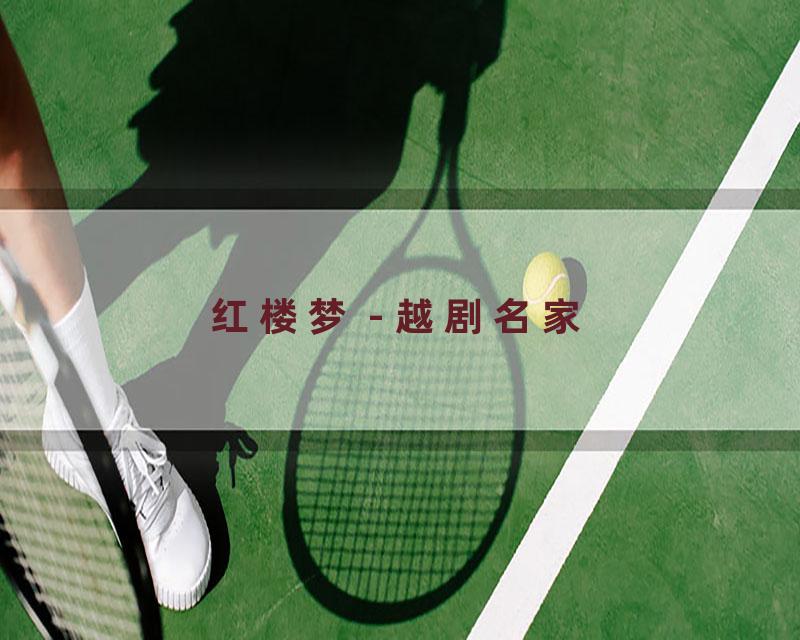 红楼梦 - 越剧名家