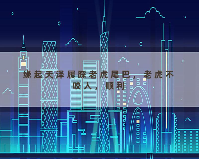 缘起天泽履踩老虎尾巴，老虎不咬人，顺利