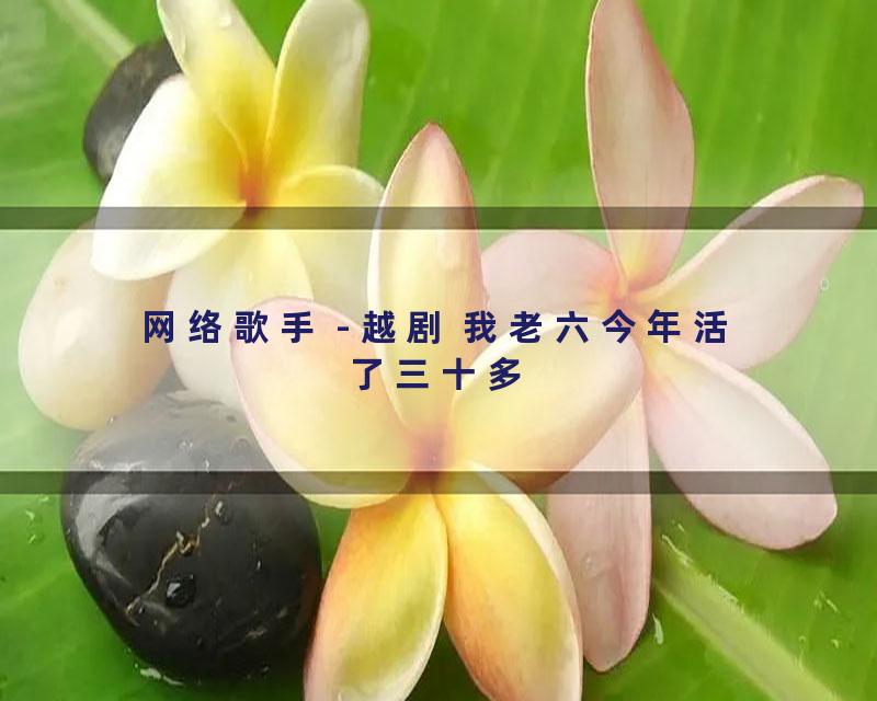 网络歌手 - 越剧 我老六今年活了三十多