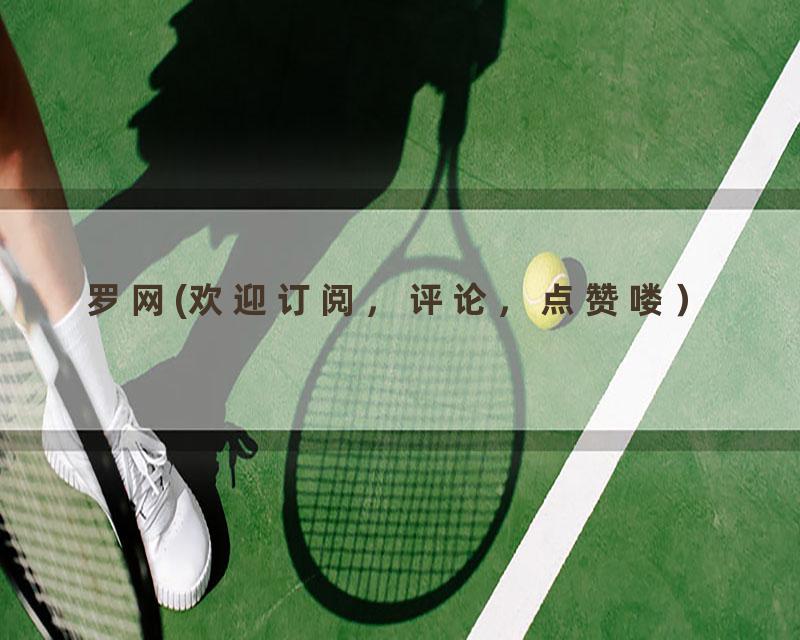 罗网(欢迎订阅，评论，点赞喽）