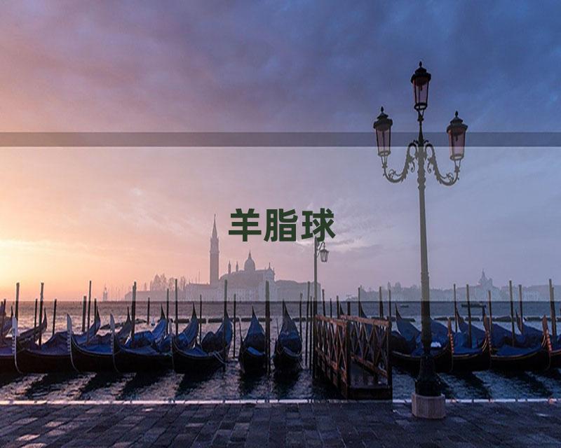 羊脂球