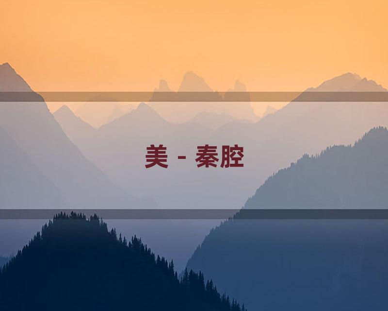 美 - 秦腔