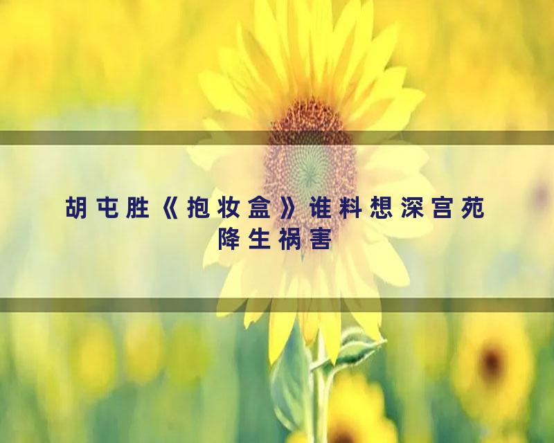胡屯胜《抱妆盒》谁料想深宫苑降生祸害