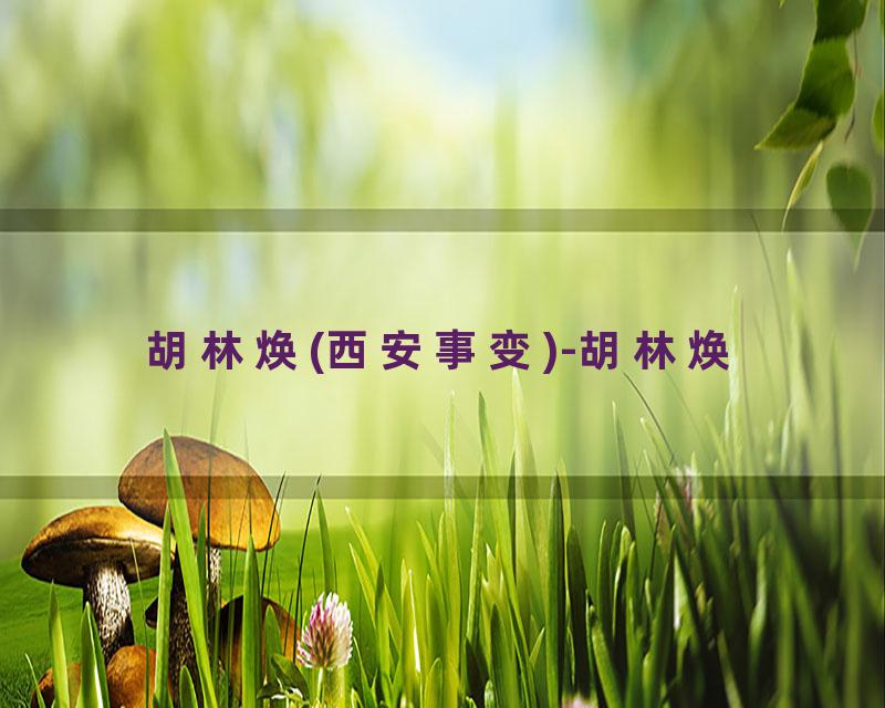 胡林焕(西安事变)-胡林焕