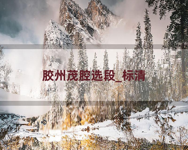 胶州茂腔选段_标清