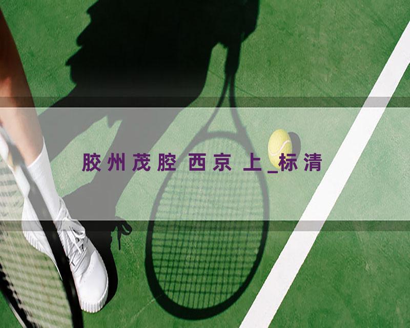 胶州茂腔 西京 上_标清
