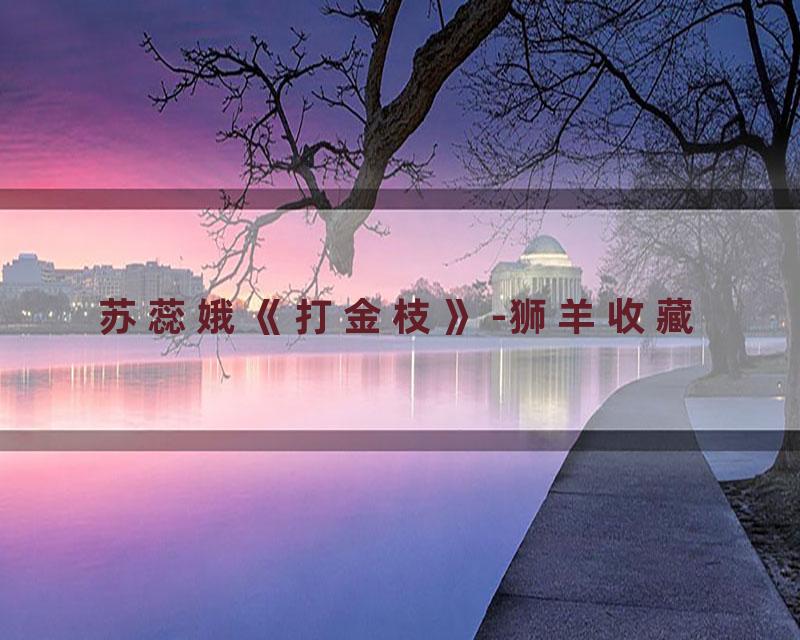 苏蕊娥《打金枝》-狮羊收藏