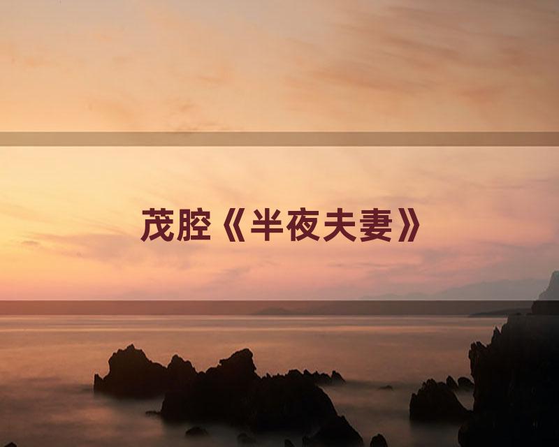 茂腔《半夜夫妻》