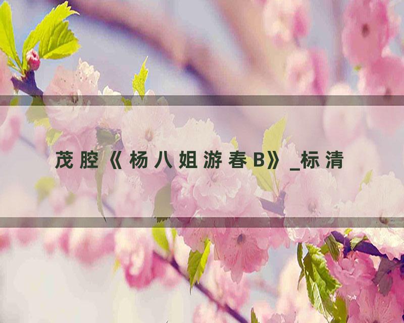 茂腔《杨八姐游春B》_标清