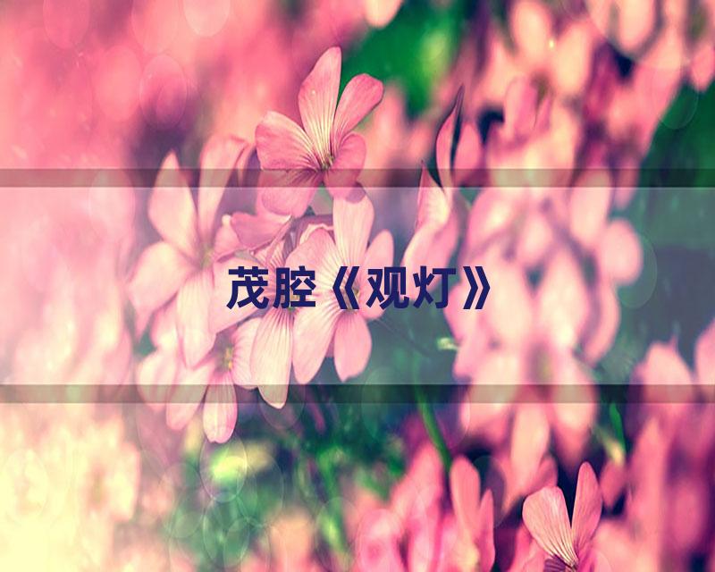 茂腔《观灯》