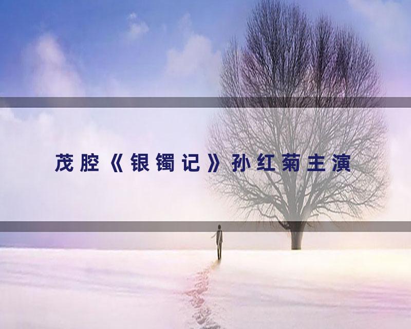 茂腔《银镯记》孙红菊主演