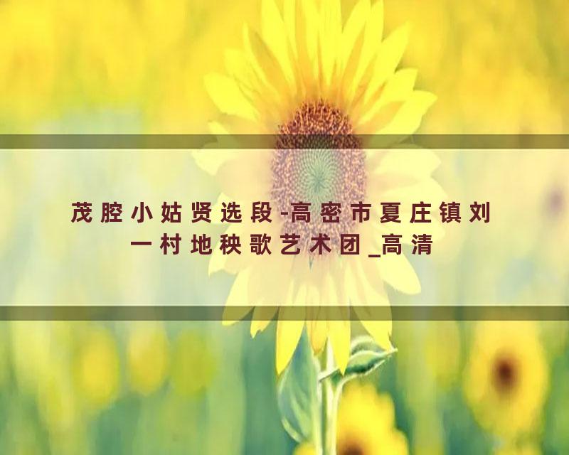茂腔小姑贤选段-高密市夏庄镇刘一村地秧歌艺术团_高清