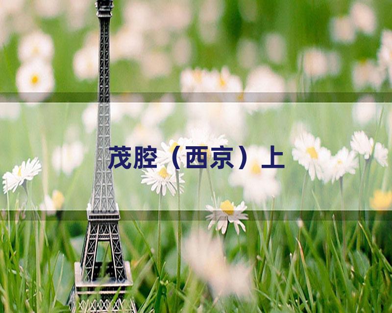茂腔（西京）上