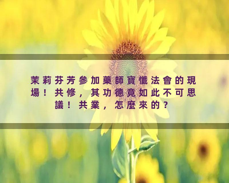 茉莉芬芳參加藥師寶懺法會的現場！共修，其功德竟如此不可思議！共業，怎麼來的？