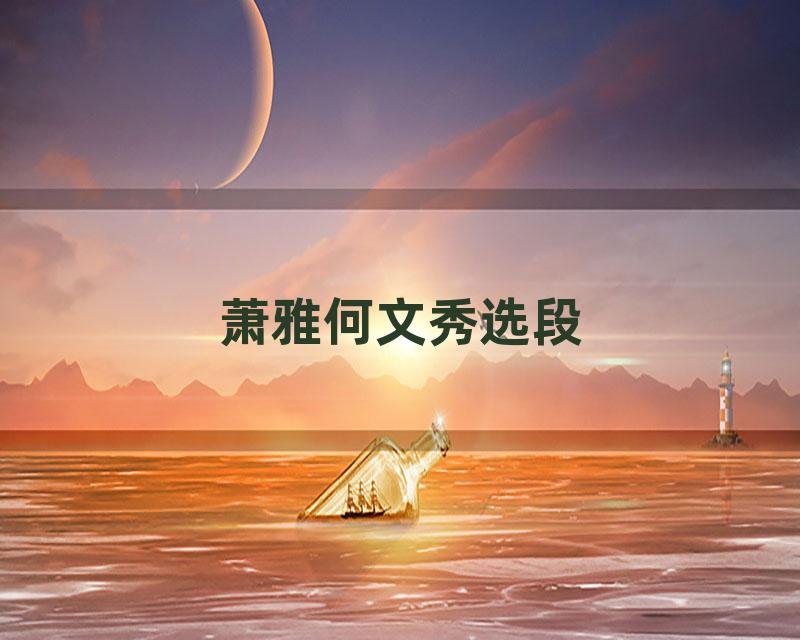 萧雅何文秀选段