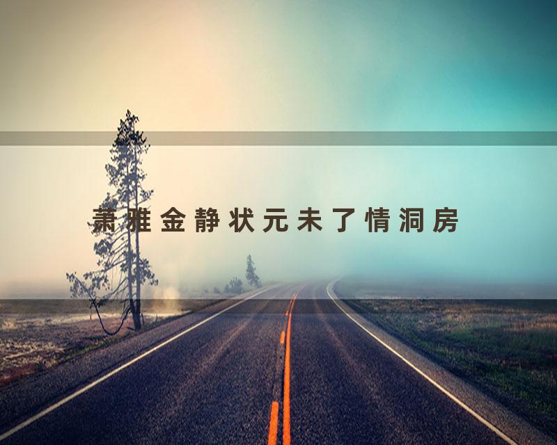 萧雅金静状元未了情洞房