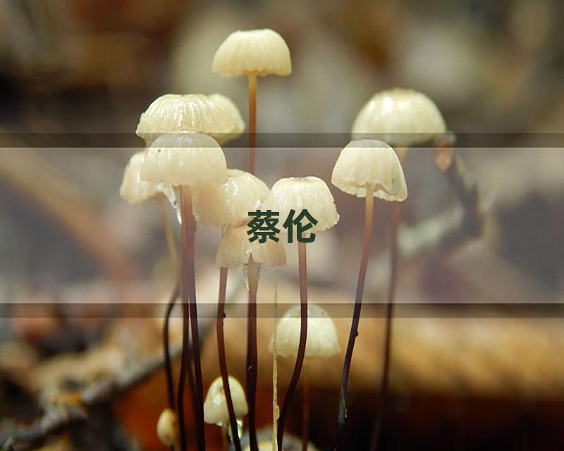蔡伦