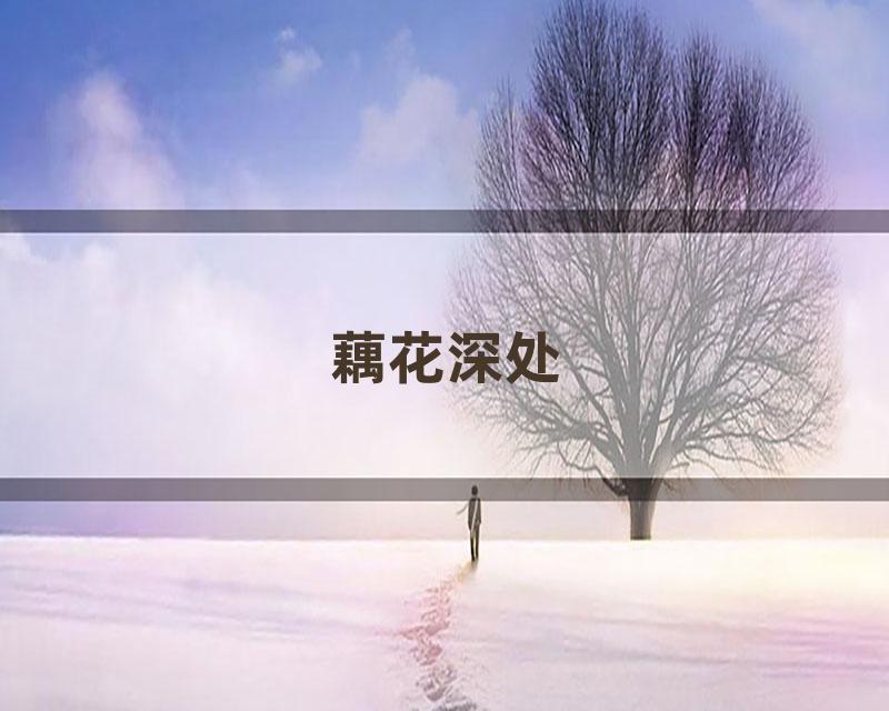 藕花深处