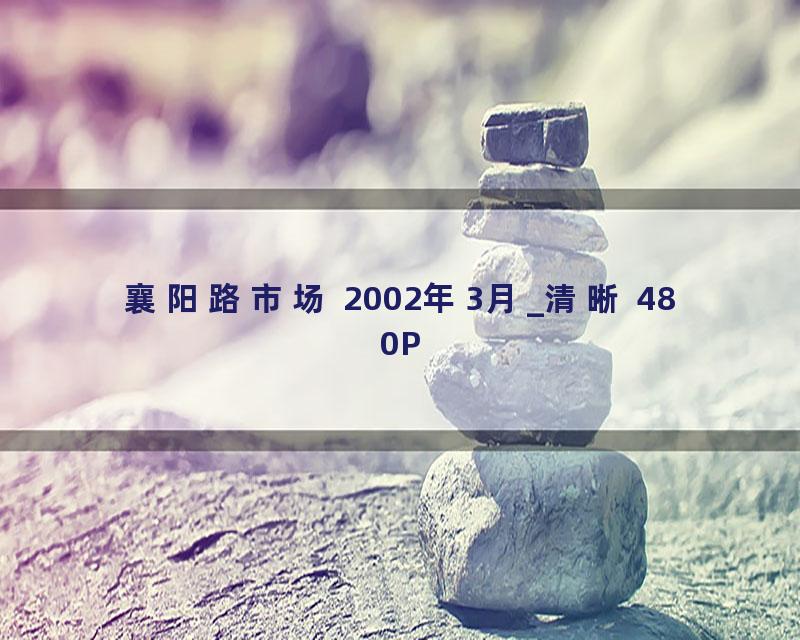 襄阳路市场 2002年3月_清晰 480P