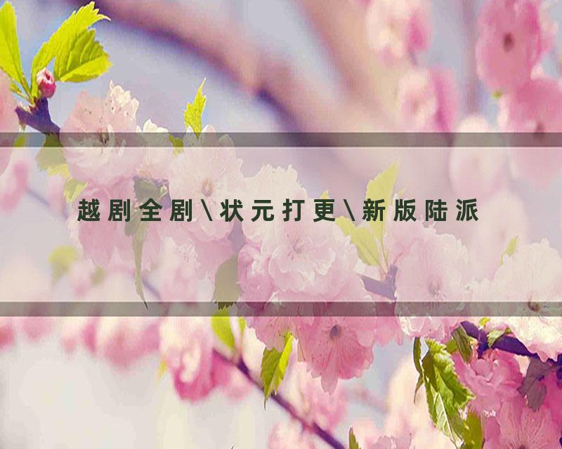 越剧全剧\ 状元打更\ 新版陆派