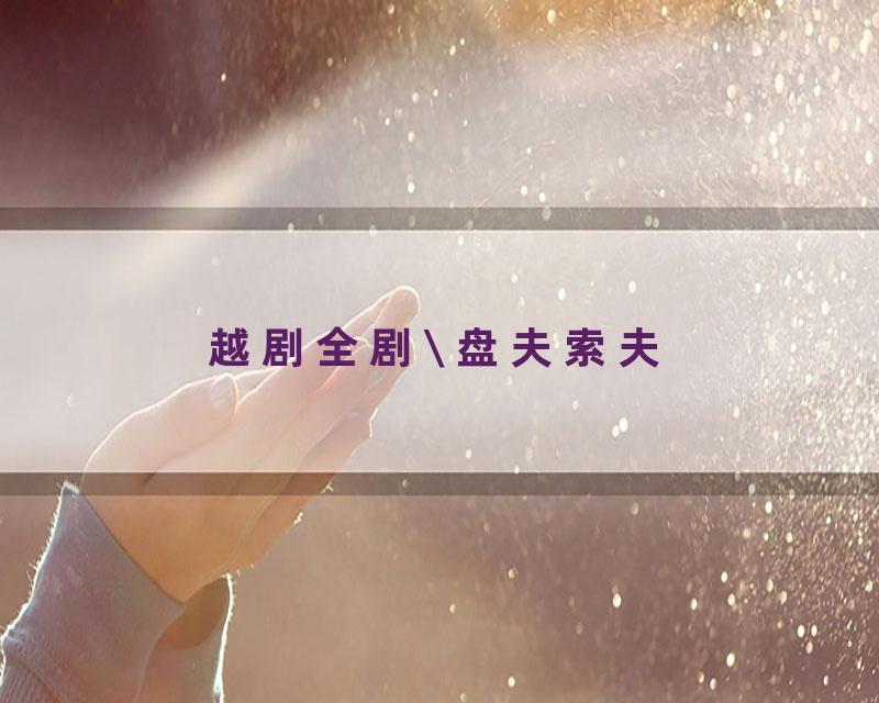越剧全剧\ 盘夫索夫