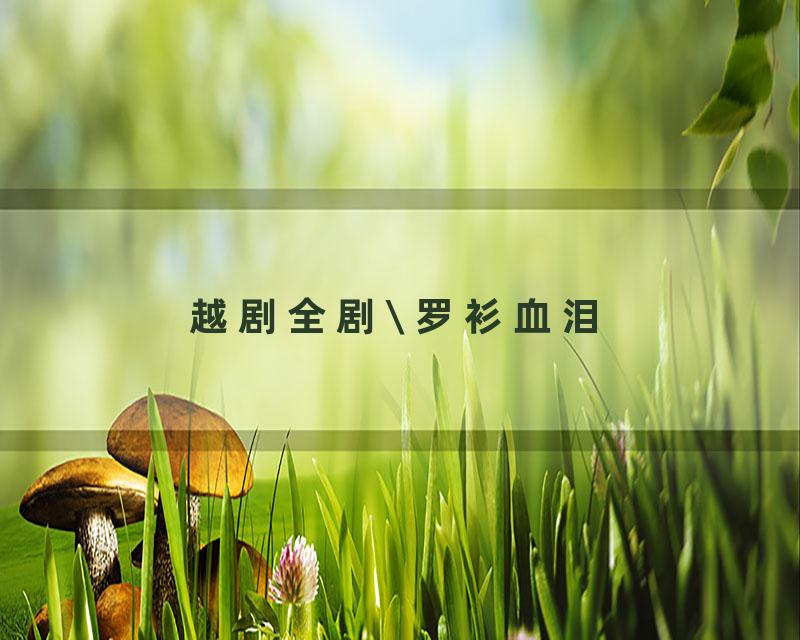 越剧全剧\ 罗衫血泪